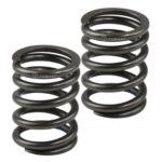 ΕΛΑΤΗΡΙΑ ΒΑΛΒΙΔΩΝ ΚΕΦΑΛΗΣ STD HONDA WAVE 110i TOBAKI