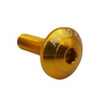 ΒΙΔΑ ΠΛΑΤΥΚΕΦΑΛΗ ΑΛΟΥΜΙΝ APIDO Φ6 20MM ΧΡΥΣΗ (200)/ ΤΕΜΑΧΙΟ