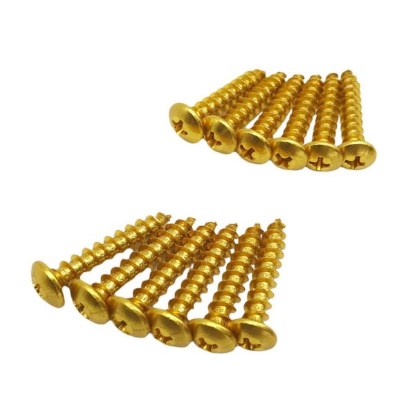 ΒΙΔΕΣ ΣΕΤ 12ΤΜΧ 6X30MM ΛΑΜΑΡΙΝΟΒΙΔΑ VICMA ΧΡΥΣΕΣ