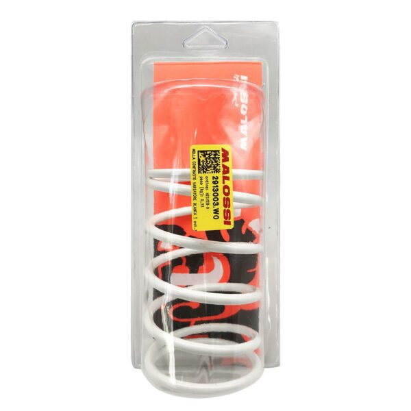 ΕΛΑΤΗΡΙΟ ΒΑΡΙΑΤΟΡ 77.7X130MM , 6MM 8.9K MALOSSI