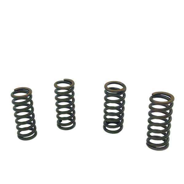 ΕΛΑΤΗΡΙΑ ΣΥΜΠΛΕΚΤΗ RACING CRYPTON X 135 ESPADA