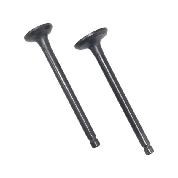 ΒΑΛΒΙΔΕΣ ΖΕΥΓΟΣ PIAGGIO ZIP 50 4T