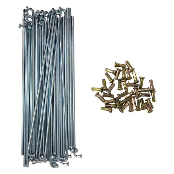 ΑΚΤΙΝΕΣ ΤΡΟΧΟΥ 183 FEDERAL