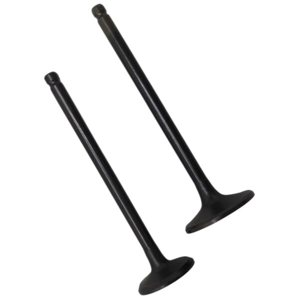 ΒΑΛΒΙΔΕΣ ΖΕΥΓΟΣ SYM SYMPHONY ST 200 F8A