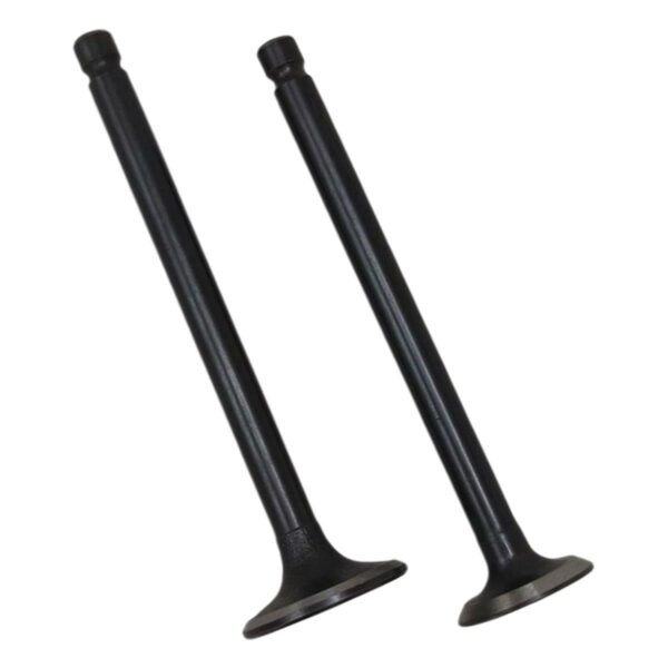 ΒΑΛΒΙΔΕΣ ΖΕΥΓΟΣ PIAGGIO LIBERTY 50 4T