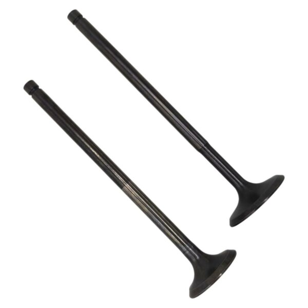 ΒΑΛΒΙΔΕΣ ΖΕΥΓΟΣ PIAGGIO BEVERLY 300 / GTS 300