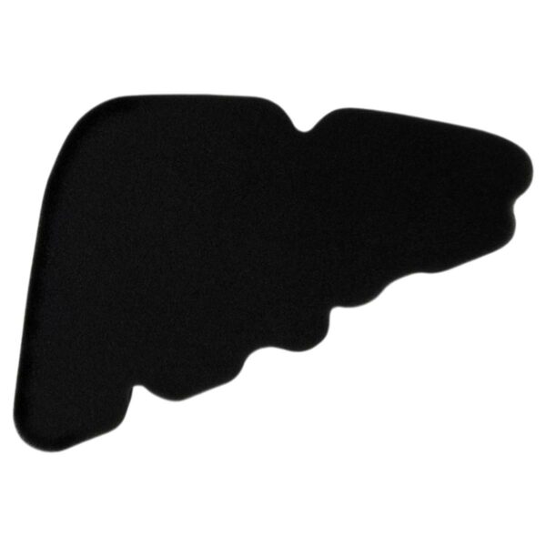 ΦΙΛΤΡΟ ΑΕΡΟΣ PIAGGIO LIBERTY 50