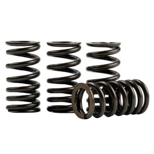 ΕΛΑΤΗΡΙΑ ΒΑΛΒΙΔΩΝ (3,00 39MM) YAMAHA CRYPTON X 135 FASSTEK