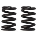 ΕΛΑΤΗΡΙΑ ΒΑΛΒΙΔΩΝ CUSTOM MODENAS KRISS S1R