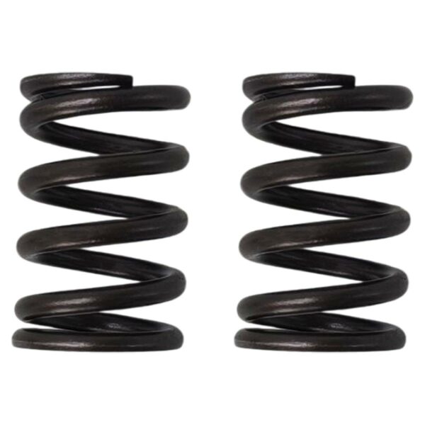 ΕΛΑΤΗΡΙΑ ΒΑΛΒΙΔΩΝ CUSTOM MODENAS KRISS S1R