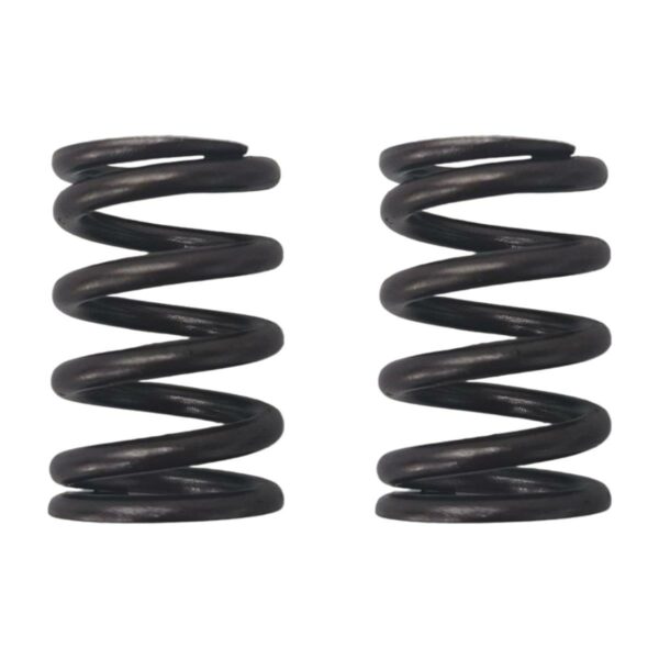 ΕΛΑΤΗΡΙΑ ΒΑΛΒΙΔΩΝ RACING YAMAHA CRYPTON R 105 / T 110 / R 115 S1R