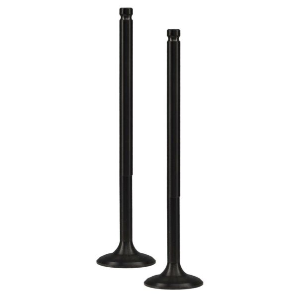 ΒΑΛΒΙΔΕΣ ΕΞΑΓΩΓΗΣ ΖΕΥΓΟΣ DLC RACING 20MM YAMAHA CRYPTON X 135 TOBAKI