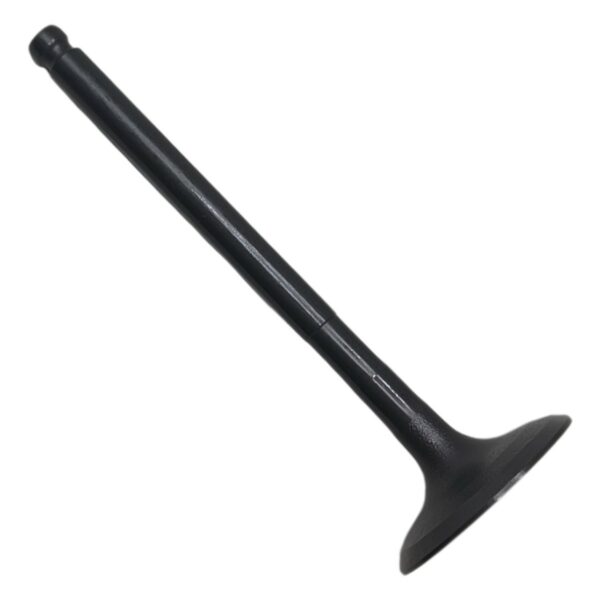 ΒΑΛΒΙΔΑ ΕΙΣΑΓΩΓΗΣ YAMAHA RAYZR 125 TOBAKI