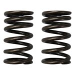 ΕΛΑΤΗΡΙΑ ΒΑΛΒΙΔΩΝ ΣΕΤ(ΕΙΣ/ΕΞ) ΕΝΙΣΧΥΜΕΝΑ HONDA INNOVA 125 OKO