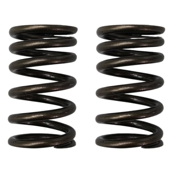 ΕΛΑΤΗΡΙΑ ΒΑΛΒΙΔΩΝ ΣΕΤ(ΕΙΣ/ΕΞ) ΕΝΙΣΧΥΜΕΝΑ HONDA INNOVA 125 OKO