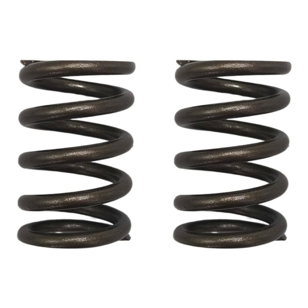 ΕΛΑΤΗΡΙΑ ΒΑΛΒΙΔΩΝ ΣΕΤ(ΕΙΣ/ΕΞ) ΕΝΙΣΧΥΜΕΝΑ YAMAHA CRYPTON R 105 / 115 OKO