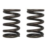 ΕΛΑΤΗΡΙΑ ΒΑΛΒΙΔΩΝ ΣΕΤ(ΕΙΣ/ΕΞ) ΕΝΙΣΧΥΜΕΝΑ YAMAHA CRYPTON R 105 / 115 OKO