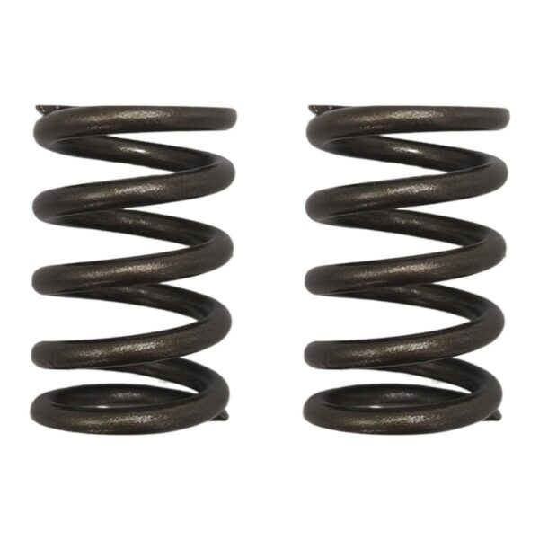 ΕΛΑΤΗΡΙΑ ΒΑΛΒΙΔΩΝ ΣΕΤ(ΕΙΣ/ΕΞ) ΕΝΙΣΧΥΜΕΝΑ YAMAHA CRYPTON R 105 / 115 OKO