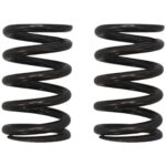 ΕΛΑΤΗΡΙΑ ΒΑΛΒΙΔΩΝ ΣΕΤ(ΕΙΣ/ΕΞ) ΕΝΙΣΧΥΜΕΝΑ YAMAHA CRYPTON S 115 OKO