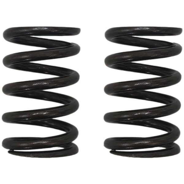 ΕΛΑΤΗΡΙΑ ΒΑΛΒΙΔΩΝ ΣΕΤ(ΕΙΣ/ΕΞ) ΕΝΙΣΧΥΜΕΝΑ YAMAHA CRYPTON S 115 OKO