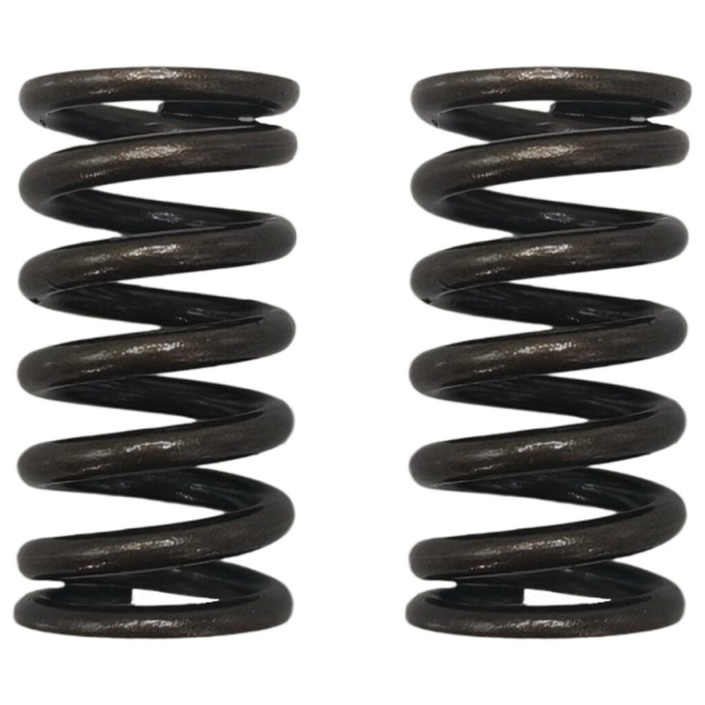 ΕΛΑΤΗΡΙΑ ΒΑΛΒΙΔΩΝ ΣΕΤ (ΕΙΣ/ΕΞ) ΕΝΙΣΧΥΜΕΝΑ KAWASAKI KAZER OKO