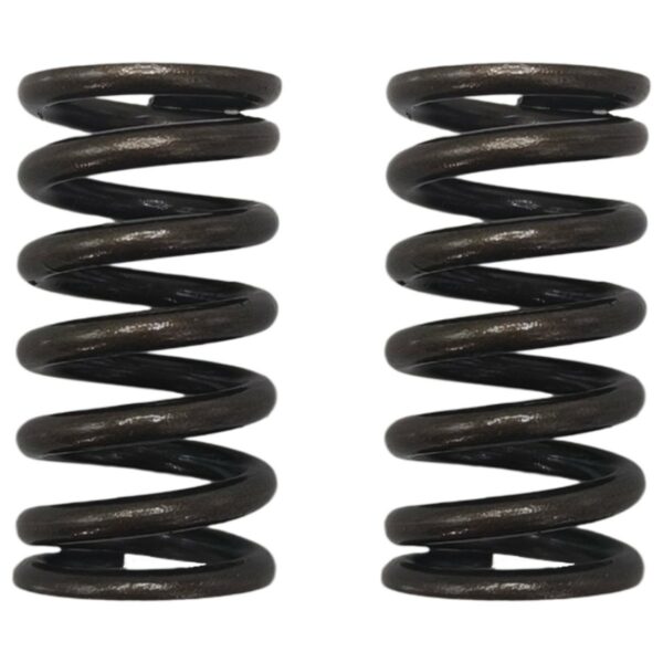 ΕΛΑΤΗΡΙΑ ΒΑΛΒΙΔΩΝ ΣΕΤ (ΕΙΣ/ΕΞ) ΕΝΙΣΧΥΜΕΝΑ KAWASAKI KAZER OKO