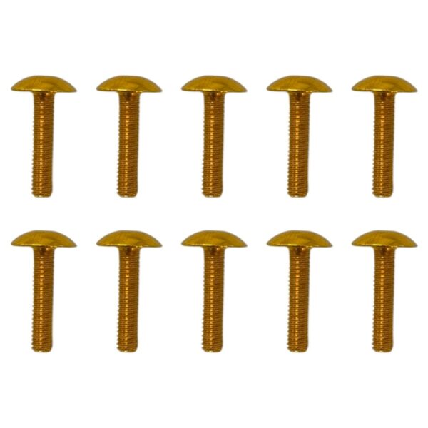 ΒΙΔΕΣ ΑΛΟΥΜΙΝΙΟΥ 6X25MM 10TMX ΣΕΤ MTX ΧΡΥΣΕΣ